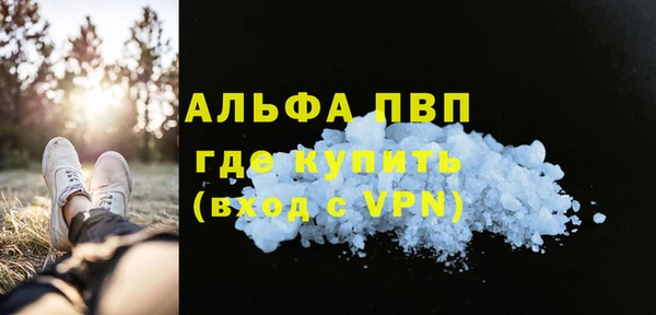 СК Алексин