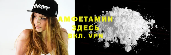 СК Алексин