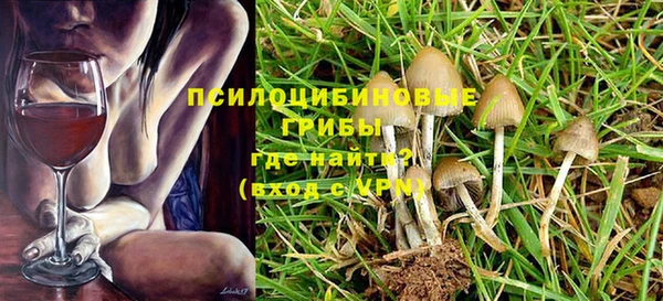 гидропоника Алексеевка