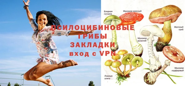 гидропоника Алексеевка