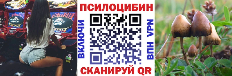 где можно купить   Усинск  кракен   Псилоцибиновые грибы ЛСД 